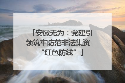 安徽无为：党建引领筑牢防范非法集资“红色防线”