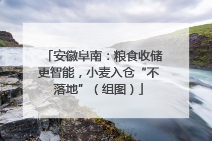 安徽阜南：粮食收储更智能，小麦入仓“不落地”（组图）