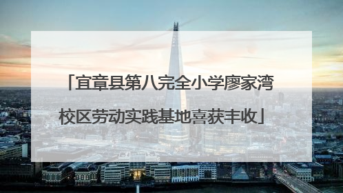 宜章县第八完全小学廖家湾校区劳动实践基地喜获丰收