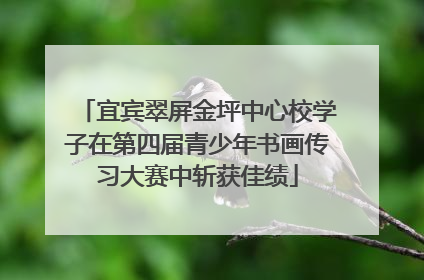 宜宾翠屏金坪中心校学子在第四届青少年书画传习大赛中斩获佳绩