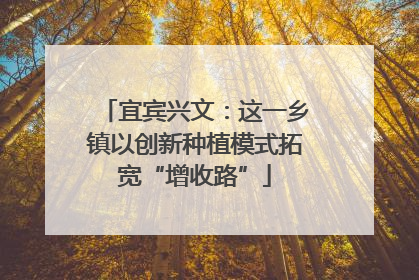 宜宾兴文：这一乡镇以创新种植模式拓宽“增收路”