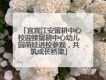 宜宾江安留耕中心校迎接留耕中心幼儿园萌娃进校参观，共筑成长桥梁