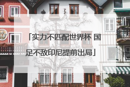实力不匹配世界杯 国足不敌印尼提前出局