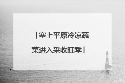 塞上平原冷凉蔬菜进入采收旺季