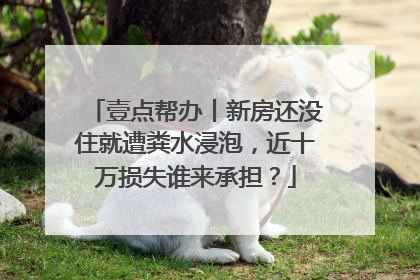 壹点帮办丨新房还没住就遭粪水浸泡，近十万损失谁来承担？