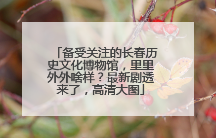 备受关注的长春历史文化博物馆，里里外外啥样？最新剧透来了，高清大图