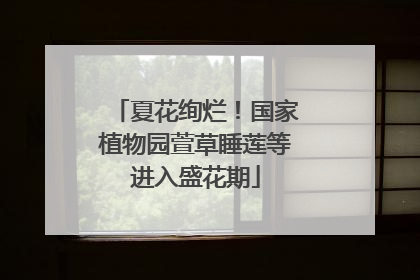 夏花绚烂！国家植物园萱草睡莲等进入盛花期