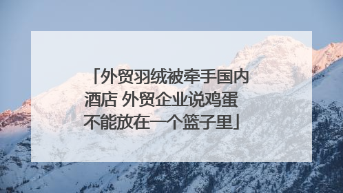 外贸羽绒被牵手国内酒店 外贸企业说鸡蛋不能放在一个篮子里