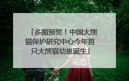 多图预警！中国大熊猫保护研究中心今年首只大熊猫幼崽诞生