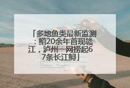 多地鱼类最新监测：鳤20余年首现赣江，泸州一网捞起67条长江鲟