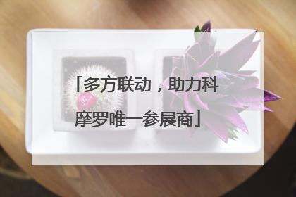 多方联动，助力科摩罗唯一参展商