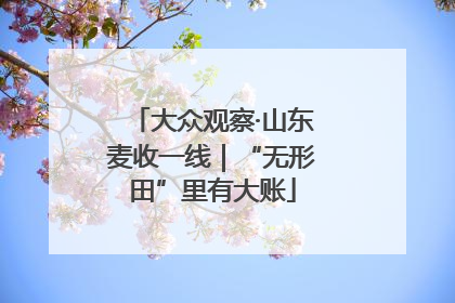 大众观察·山东麦收一线｜“无形田”里有大账