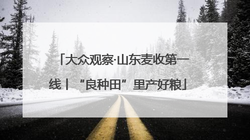 大众观察·山东麦收第一线丨“良种田”里产好粮