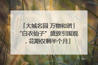 大城名园 万物和谐│“白衣仙子”盛放引围观，花期仅剩半个月