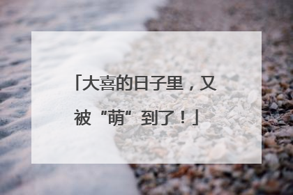 大喜的日子里，又被“萌”到了！