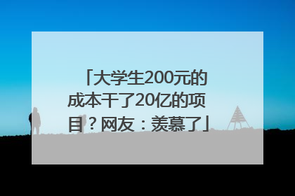 大学生200元的成本干了20亿的项目？网友：羡慕了