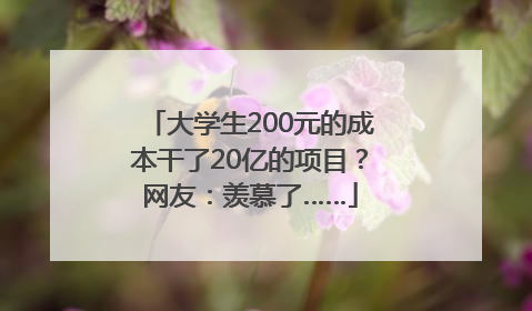 大学生200元的成本干了20亿的项目？网友：羡慕了……