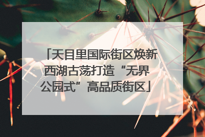 天目里国际街区焕新 西湖古荡打造“无界公园式”高品质街区