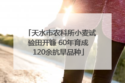 天水市农科所小麦试验田开镰 60年育成120余抗旱品种