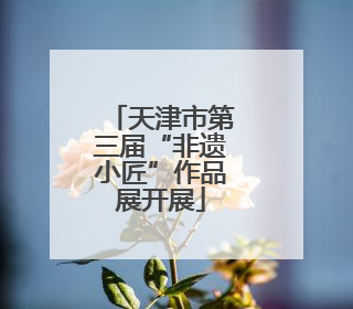 天津市第三届“非遗小匠”作品展开展