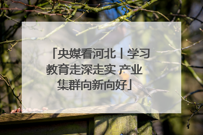 央媒看河北丨学习教育走深走实 产业集群向新向好