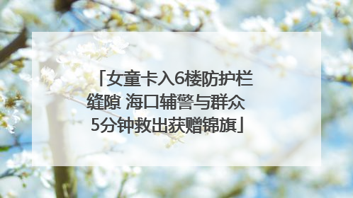 女童卡入6楼防护栏缝隙 海口辅警与群众5分钟救出获赠锦旗