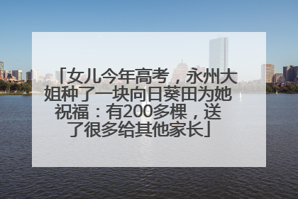 女儿今年高考，永州大姐种了一块向日葵田为她祝福：有200多棵，送了很多给其他家长