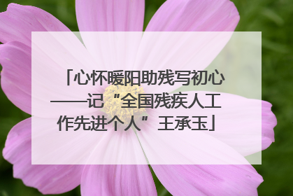 心怀暖阳助残写初心——记“全国残疾人工作先进个人”王承玉