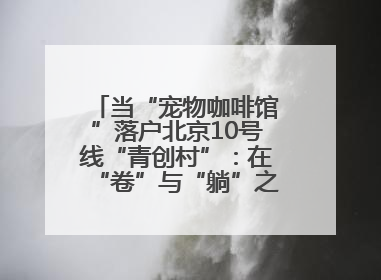 当“宠物咖啡馆”落户北京10号线“青创村”：在“卷”与“躺”之间，他们找到了第三种生活公式