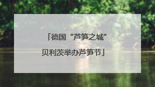 德国“芦笋之城”贝利茨举办芦笋节
