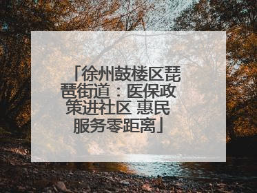 徐州鼓楼区琵琶街道：医保政策进社区 惠民服务零距离