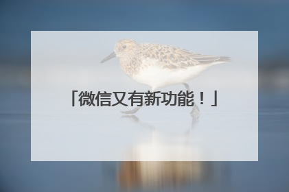 微信又有新功能！