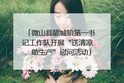 微山县驩城镇第一书记工作队开展“送清凉、助生产”慰问活动