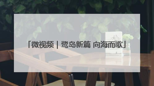 微视频｜鹭岛新篇 向海而歌