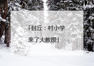 封丘：村小学来了大教授