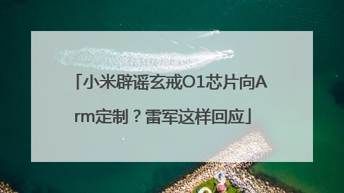 小米辟谣玄戒O1芯片向Arm定制？雷军这样回应