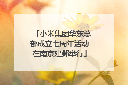 小米集团华东总部成立七周年活动在南京建邺举行