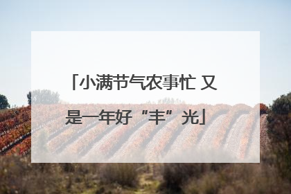 小满节气农事忙 又是一年好“丰”光