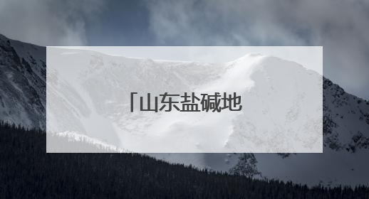 山东盐碱地里丰收忙