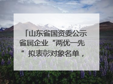 山东省国资委公示省属企业“两优一先”拟表彰对象名单，共250名（个）党员和党组织
