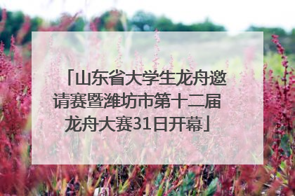 山东省大学生龙舟邀请赛暨潍坊市第十二届龙舟大赛31日开幕