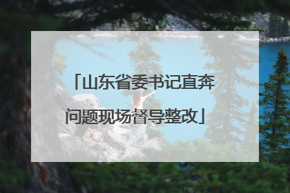 山东省委书记直奔问题现场督导整改