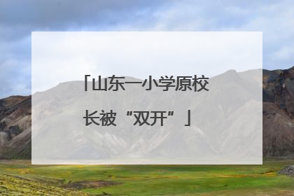 山东一小学原校长被“双开”