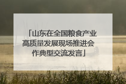 山东在全国粮食产业高质量发展现场推进会作典型交流发言