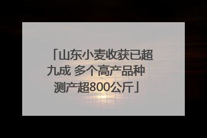 山东小麦收获已超九成 多个高产品种测产超800公斤