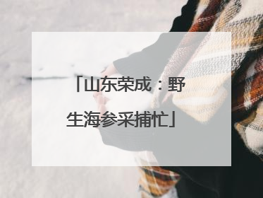 山东荣成：野生海参采捕忙