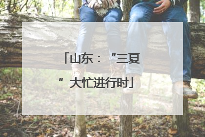 山东：“三夏”大忙进行时
