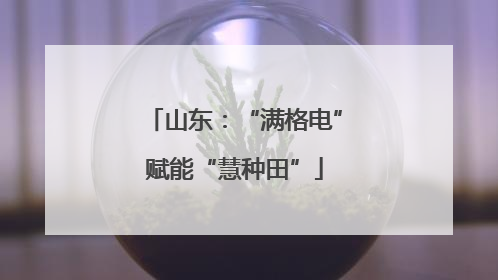 山东：“满格电”赋能“慧种田”