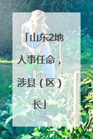 山东2地人事任命，涉县（区）长