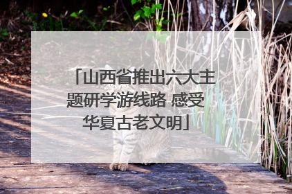 山西省推出六大主题研学游线路 感受华夏古老文明